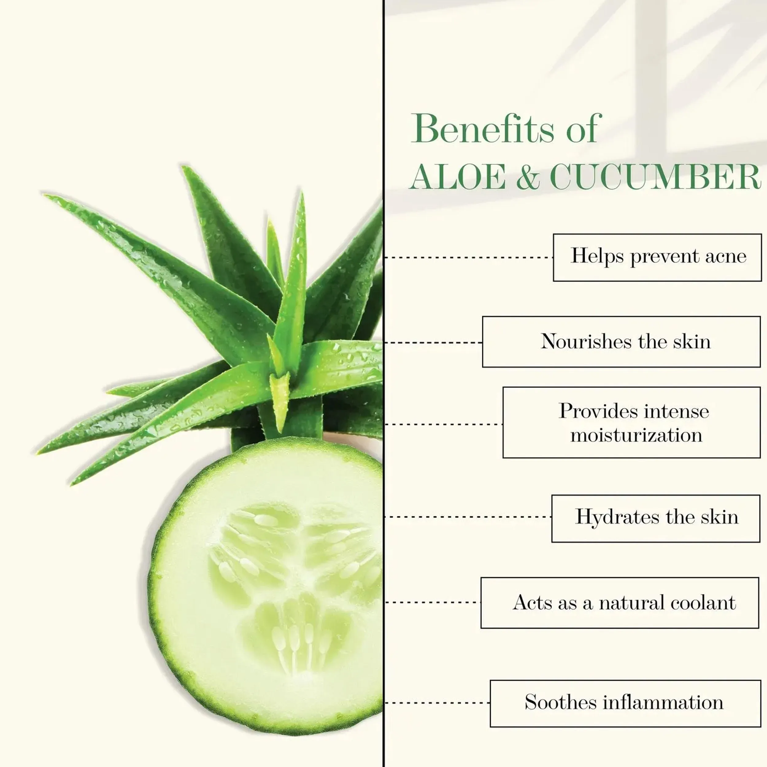 Aloe Cucumber Detox Face Mask