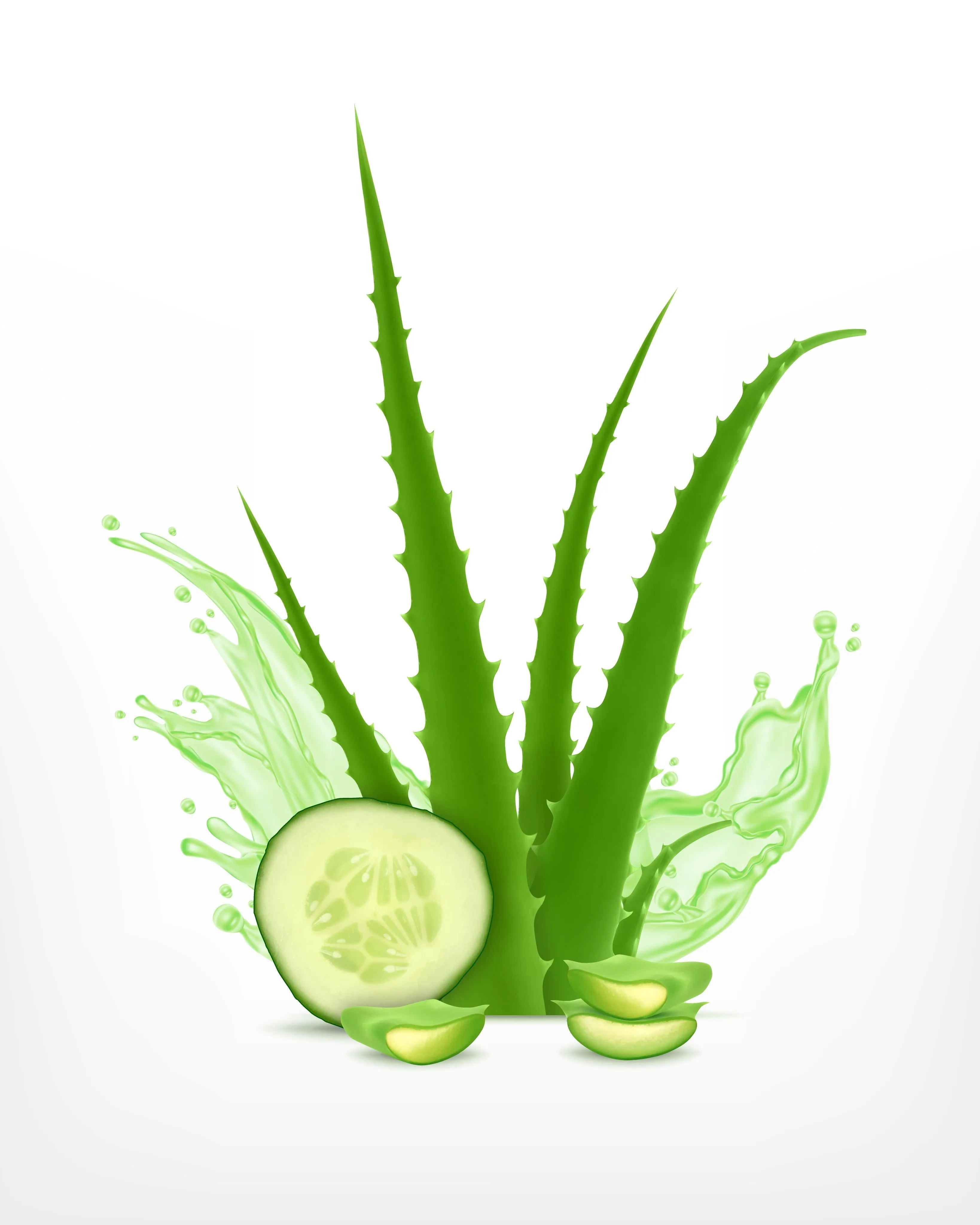 Cucumber & Aloe Organic Facial Toner