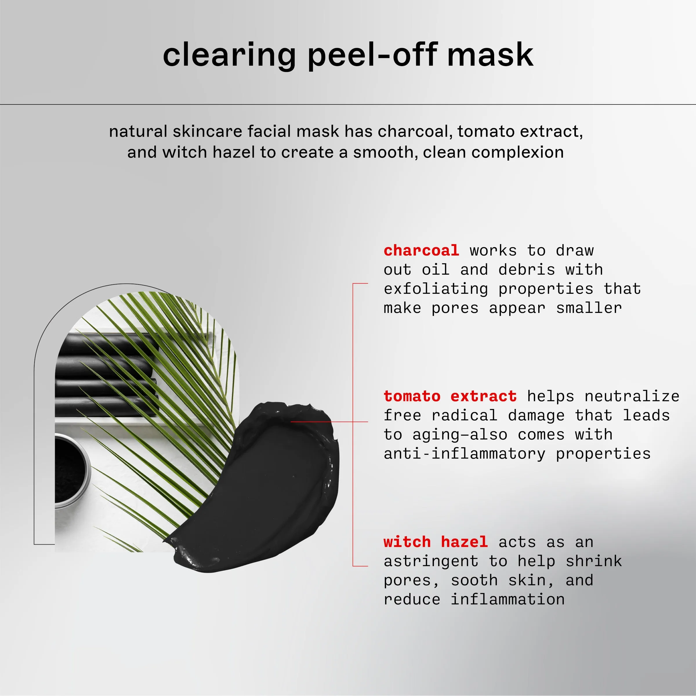 Natural Skincare Clearing Charcoal & Tomato Peel-Off Mask