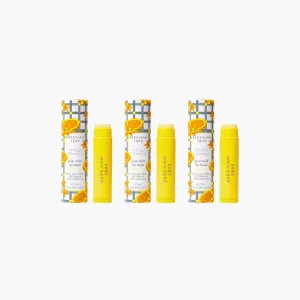 Spiced Orange Lip Balm Set of 3