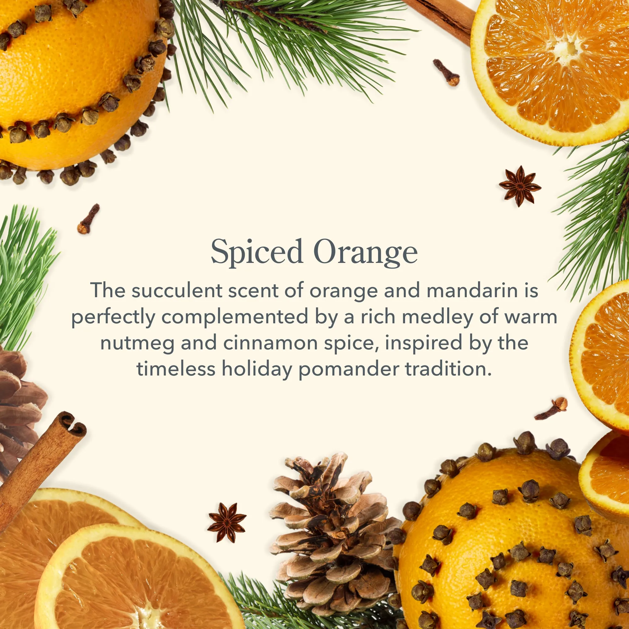 Spiced Orange Lip Balm Set of 3