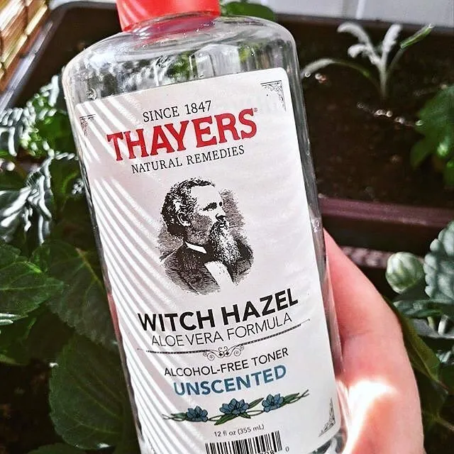 Thayers Alcohol-free Unscented Witch Hazel Toner